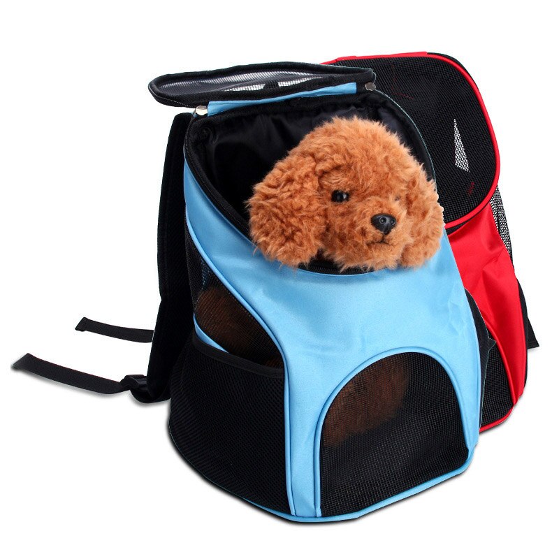 Little Buddy Backpack